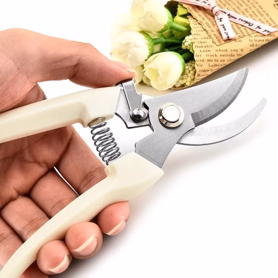 Stainless Steel Pruning Shears Branch Shears Picking Fruit Flower Tree Shears Garden Branch Grafting Gardening Scissors Tool