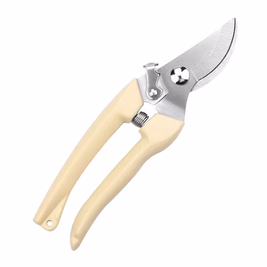 Stainless Steel Pruning Shears Branch Shears Picking Fruit Flower Tree Shears Garden Branch Grafting Gardening Scissors Tool
