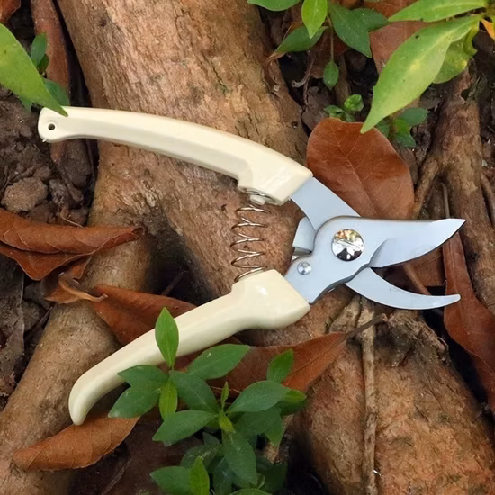 Stainless Steel Pruning Shears Branch Shears Picking Fruit Flower Tree Shears Garden Branch Grafting Gardening Scissors Tool