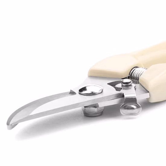 Stainless Steel Pruning Shears Branch Shears Picking Fruit Flower Tree Shears Garden Branch Grafting Gardening Scissors Tool